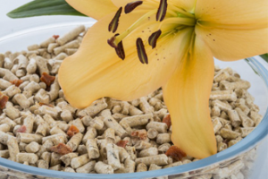 Цветокоррекция