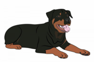 Рисунки любой сложности