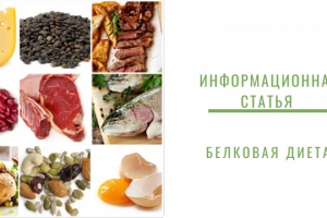 Белковая диета