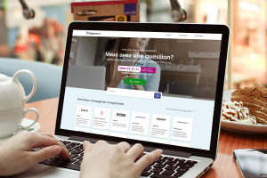 Вёрстка сайта телефонного справочника во Франции