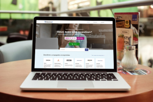 Разработка сайта телефонного справочника во Франции на Wordpress