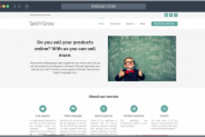 Multi-language sale support