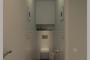 Проект типовой двухкомнатной квартиры. Санузел