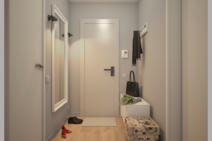 Проект типовой однушки.Прихожая