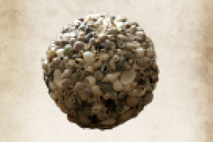 Аксессуар из ракушек