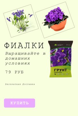 img4322306.png