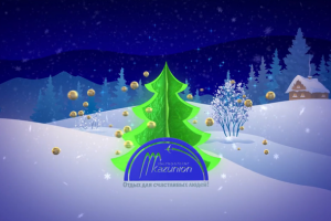Новогоднее поздравление