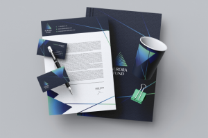 Элементы ФС для финансового фонда "Aurora Fund"