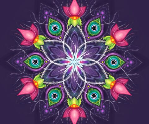 img3449183.png