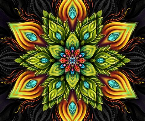 img3449182.png