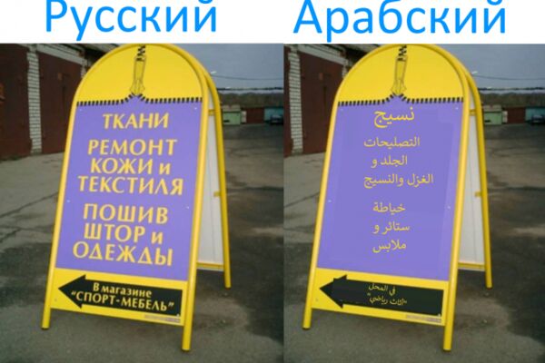 img3917035.png