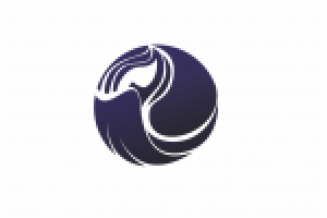 Работа 1451784