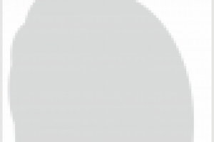 Работа 1318535