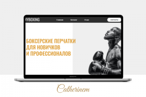 Интернет-магазин боксерских перчаток