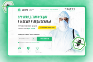 Первый экран сайта (разработка на курсе дизайна)