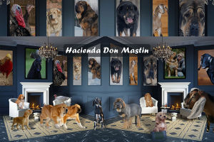 Баннер для обложки группы Facebook