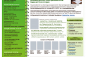 Сайт юридической организации