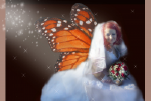 свадьба, монтаж