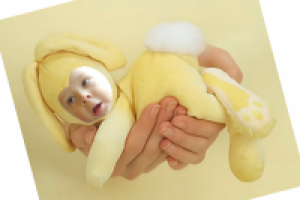 оформление в шаблон