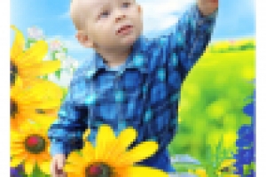 оформление фотографии