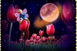 художественное оформление + коллаж