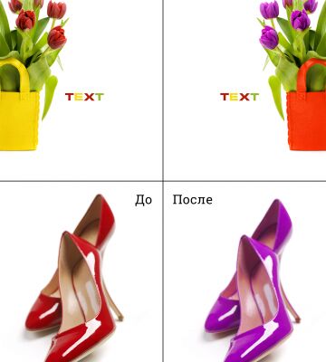 img3934264.png