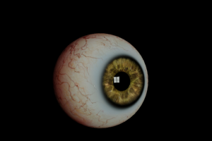 Человоческий глаз