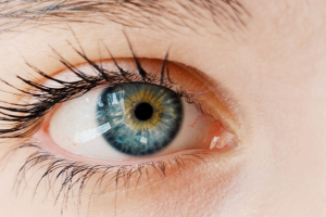 Красота в глазах