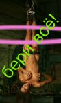 img2415885.png