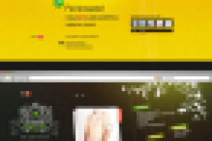 Camelot - магазин одежды. Веб-сайт под распродажу коллекции