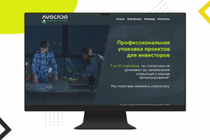 Avocado Associates — Подготовка проектов для инвесторов