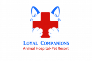 Логотип госпиталя для животных