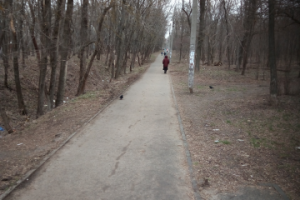 Забытые парки