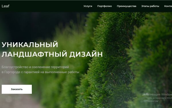 img3996637.png