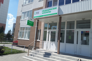 Работа 3828819