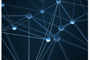 Разработка сайта Спайдер Трекер