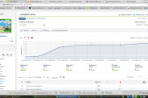 Продвижение сайта компании "Феникс"