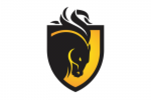 Победа в конкурсе