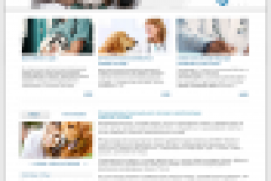 Дизайн сайта ветеринарной клиники