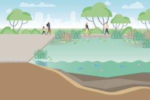 Реставрация водоемов