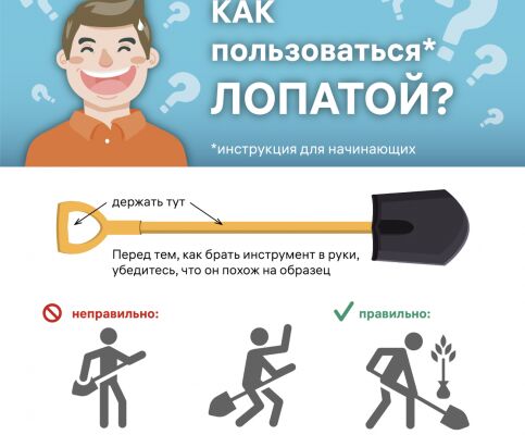 img4240798.png