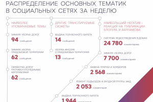 Презентация по мониторингу социальных сетей