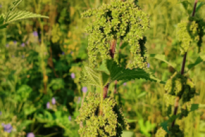 Фотографии