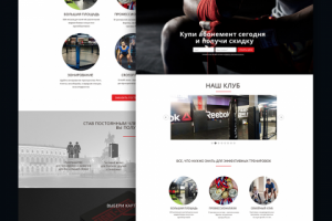 Дизайн лэндинга для центра единоборств в г. Санкт-Петербург