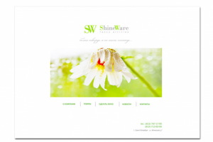 Дизайн сайта для компании, занимающейся продажей зонтов