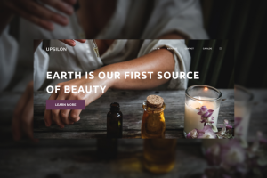 Интернет-магазин косметики