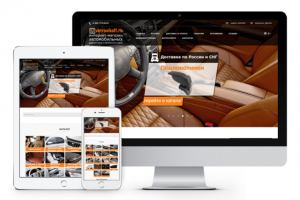 Интернет-магазин авто аксессуаров "Vetrovikoff"