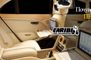 Работа 3267640