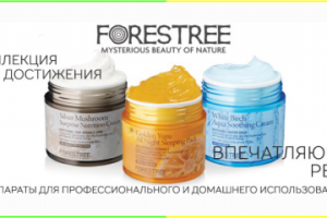 Работа 3267655