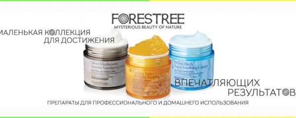 img3267655.png